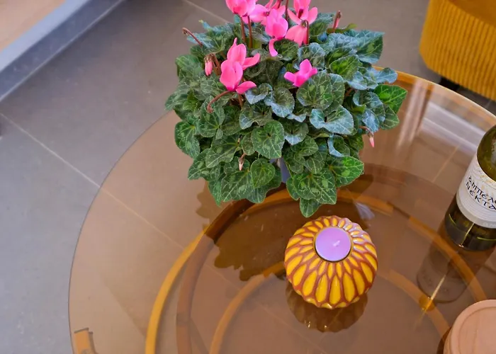 Ag Living Two 아파트 테살로니키